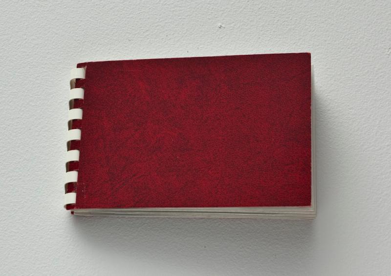 Little Red Book