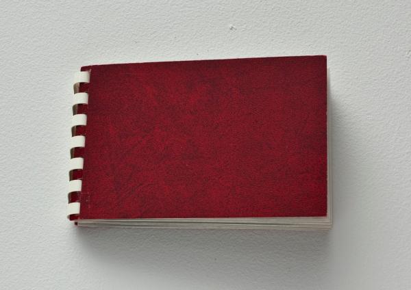 Little Red Book