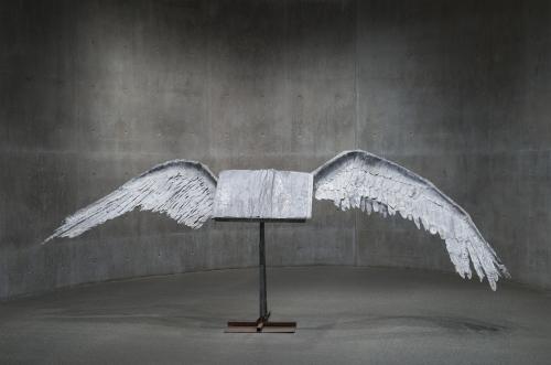 Book with Wings