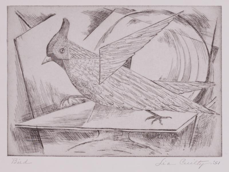 Bird