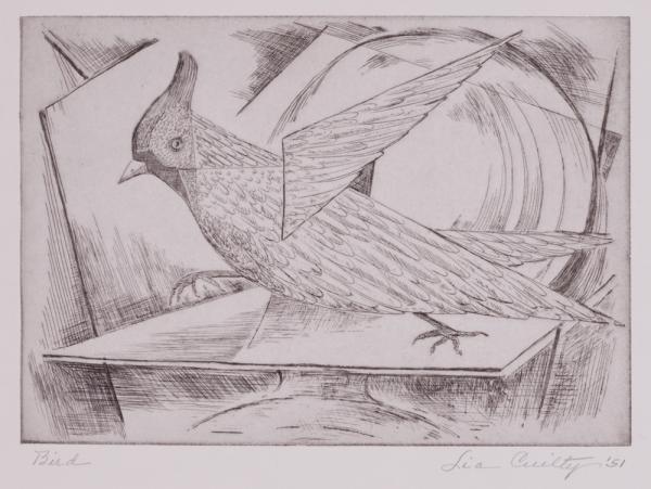 Bird