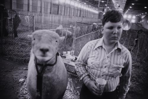 Untitled (Lamb and Boy) from "The Great American Rodeo Portfolio"