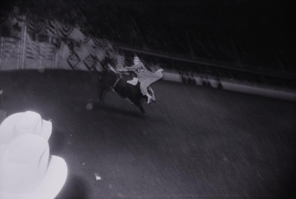Untitled (Clown with Bull) from "The Great American Rodeo Portfolio"