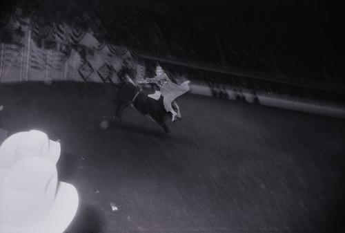 Untitled (Clown with Bull) from "The Great American Rodeo Portfolio"