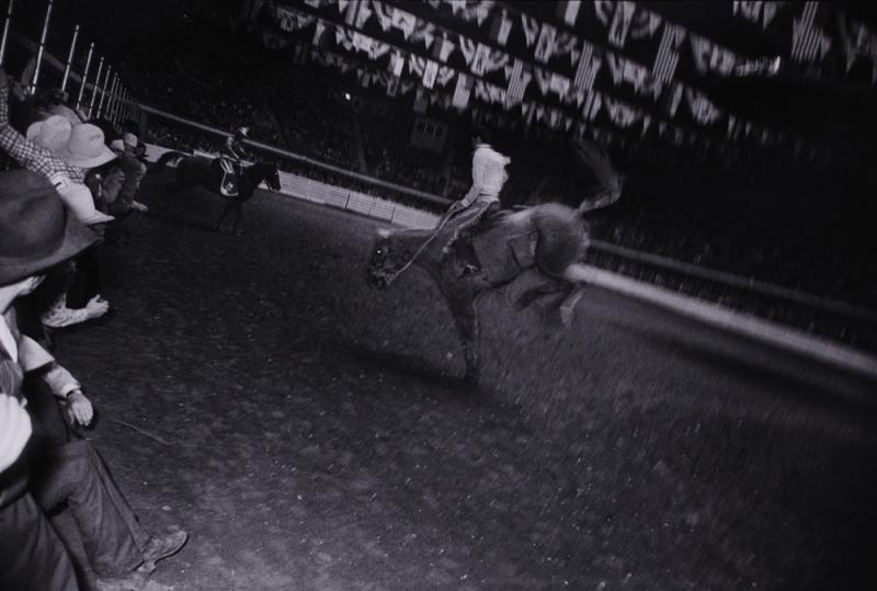 Untitled (Bronc with Rider) from "The Great American Rodeo Portfolio"