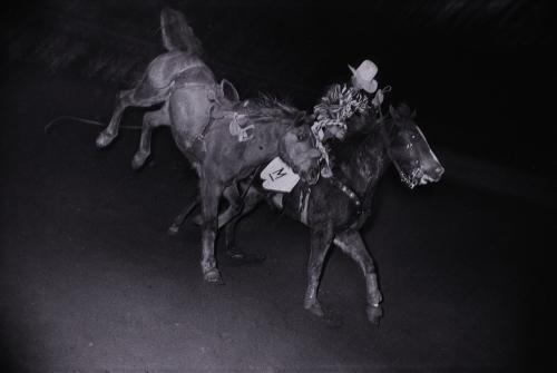 Untitled (Horse and Rider Leading Bronc) from "The Great American Rodeo Portfolio"