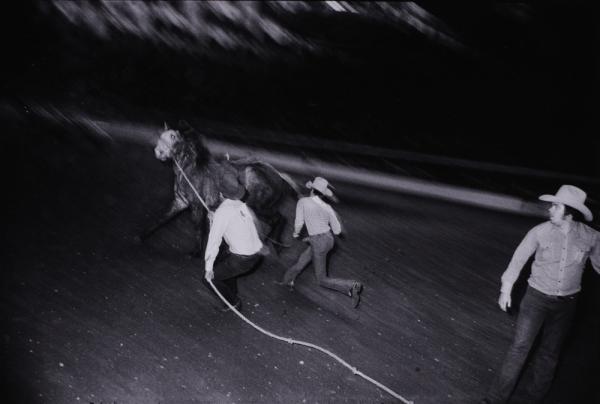 Untitled (Bronc with Three Men) from "The Great American Rodeo Portfolio"