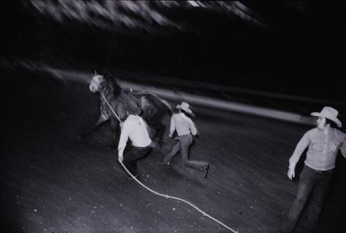 Untitled (Bronc with Three Men) from "The Great American Rodeo Portfolio"