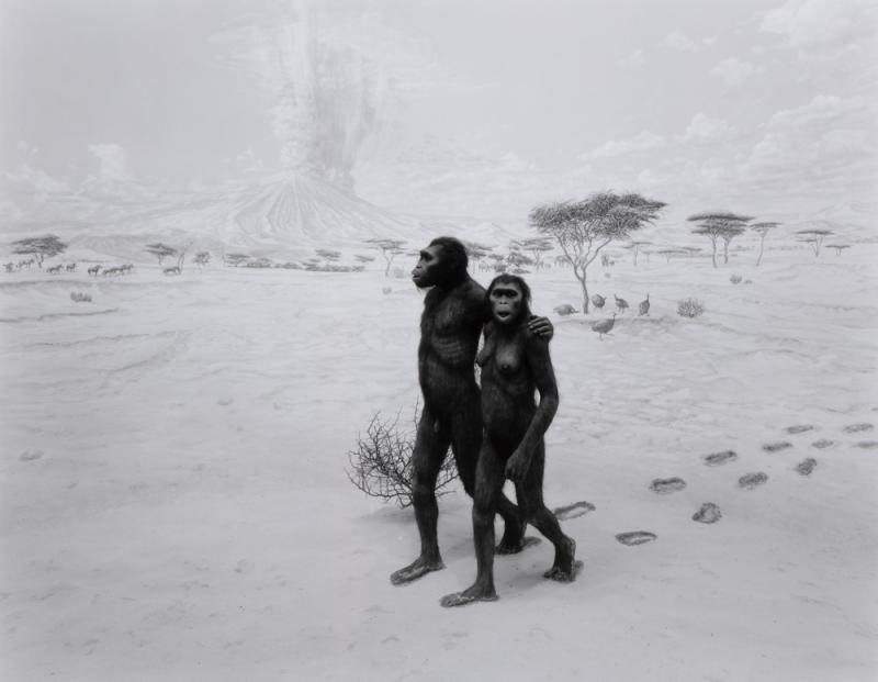 Earliest Human Relatives