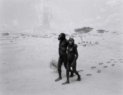 Earliest Human Relatives