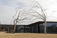 Roxy Paine