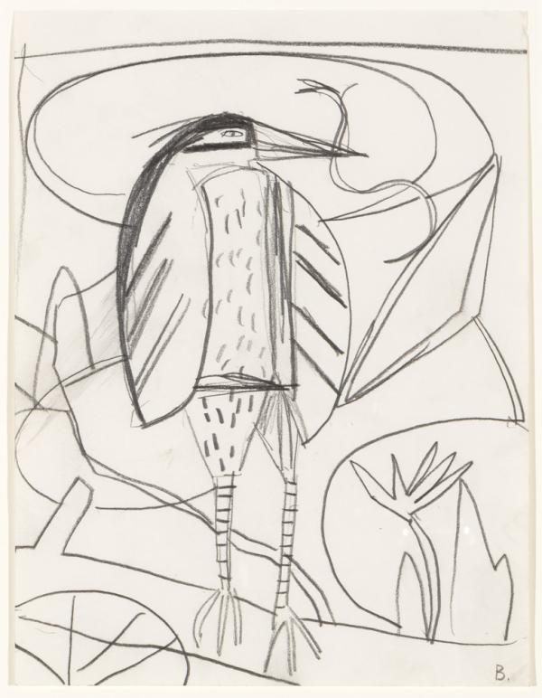 Study for Night Heron