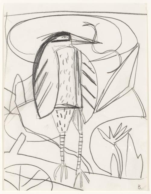 Study for Night Heron