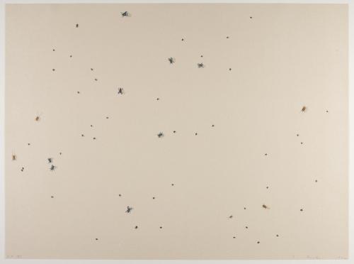 Insects--Pearl Dust Combinations
