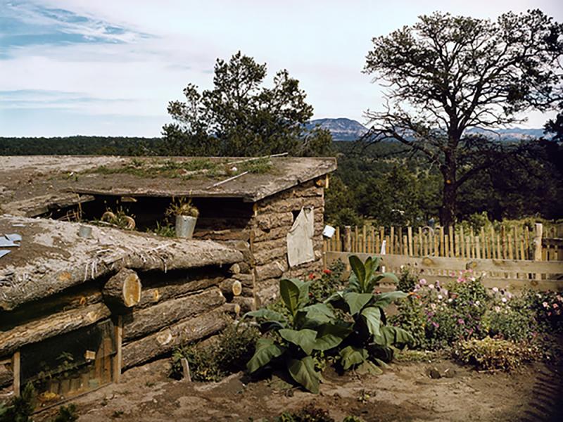 Garden Adjacent to the Dugout Home of Jessie and Edith Evans-Whinery