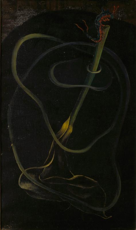 Persistence Above Dark Water