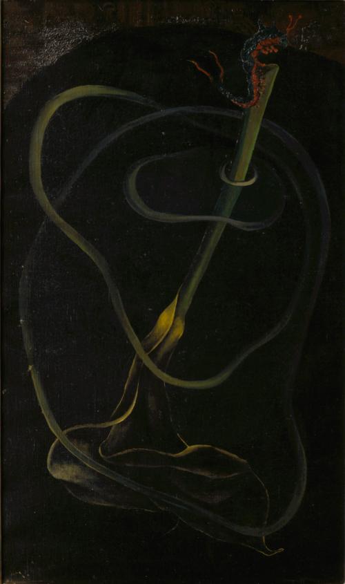 Persistence Above Dark Water