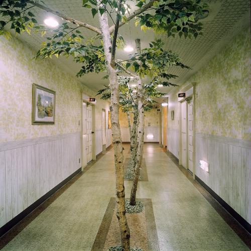 Hallway with Trees, Hotel Loire, Osaka