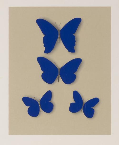 Yves Klein Butterflies