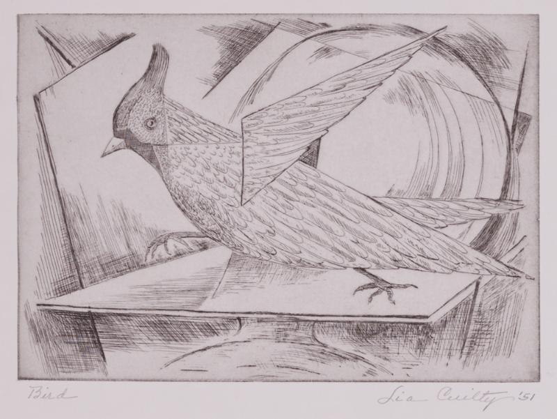 Bird