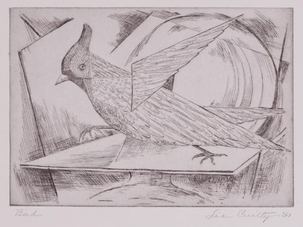 Bird