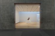 New Works by Ron Mueck