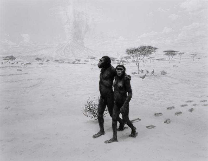 Earliest Human Relatives