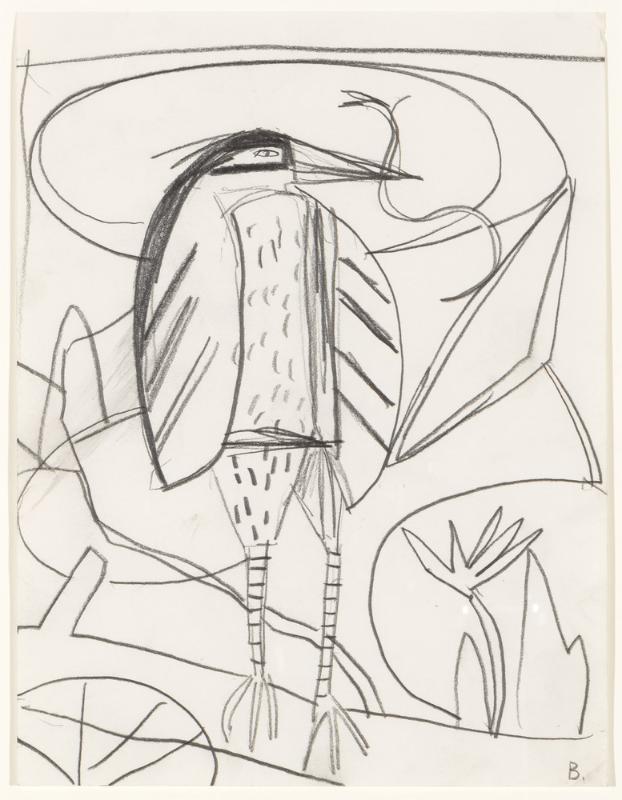 Study for Night Heron