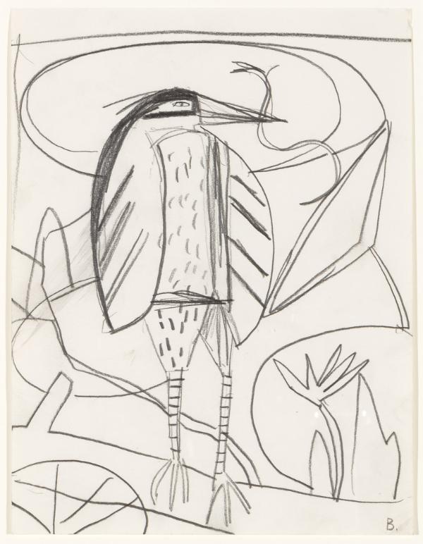 Study for Night Heron