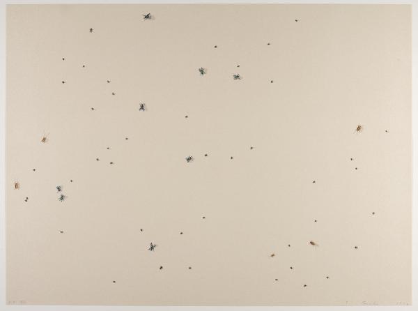 Pearl Dust Combination