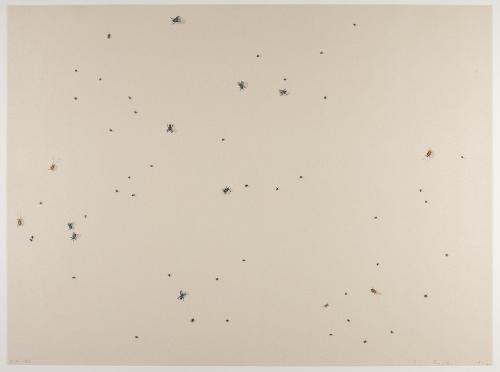 Pearl Dust Combination