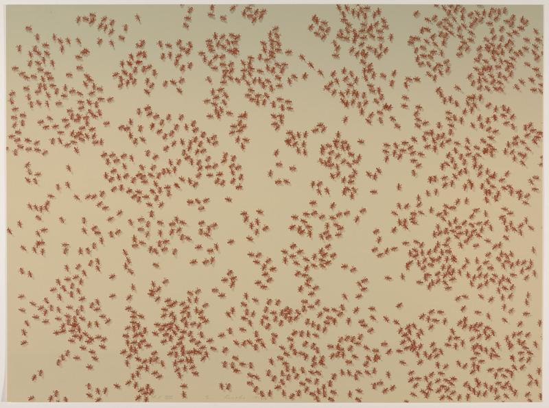 Red Ants