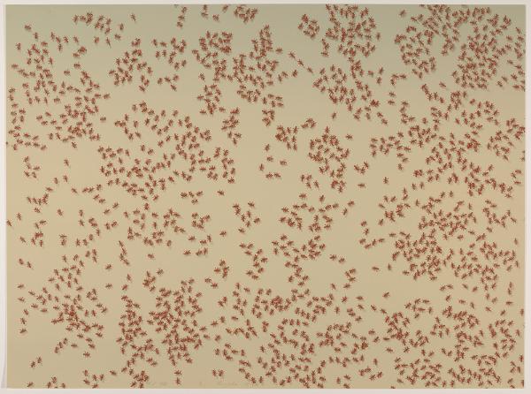 Red Ants
