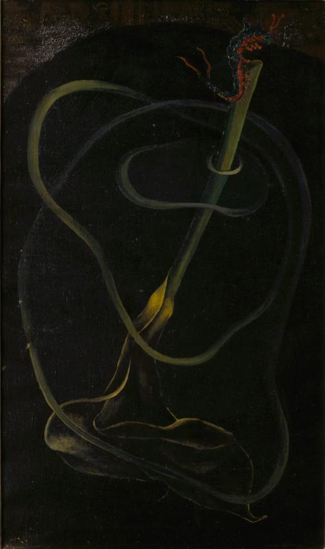 Persistence Above Dark Water